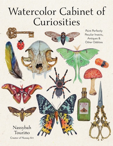 Watercolor Cabinet of Curiosities: Paint Perfectly Peculiar Insects, Antiques & Other Oddities - Touriño, Nassybah Cover Image