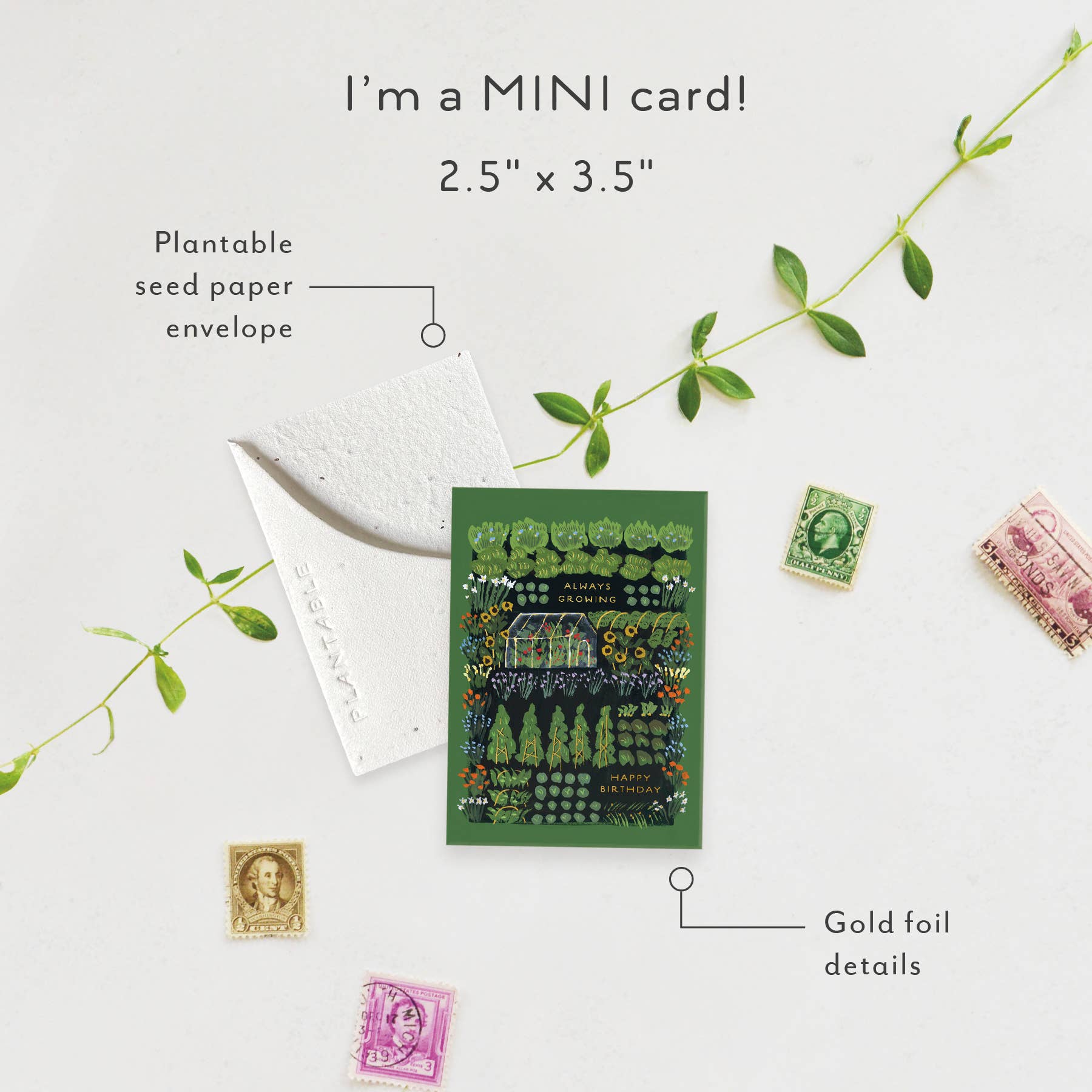 Garden Greenhouse Sprout - Birthday Mini Greeting Card