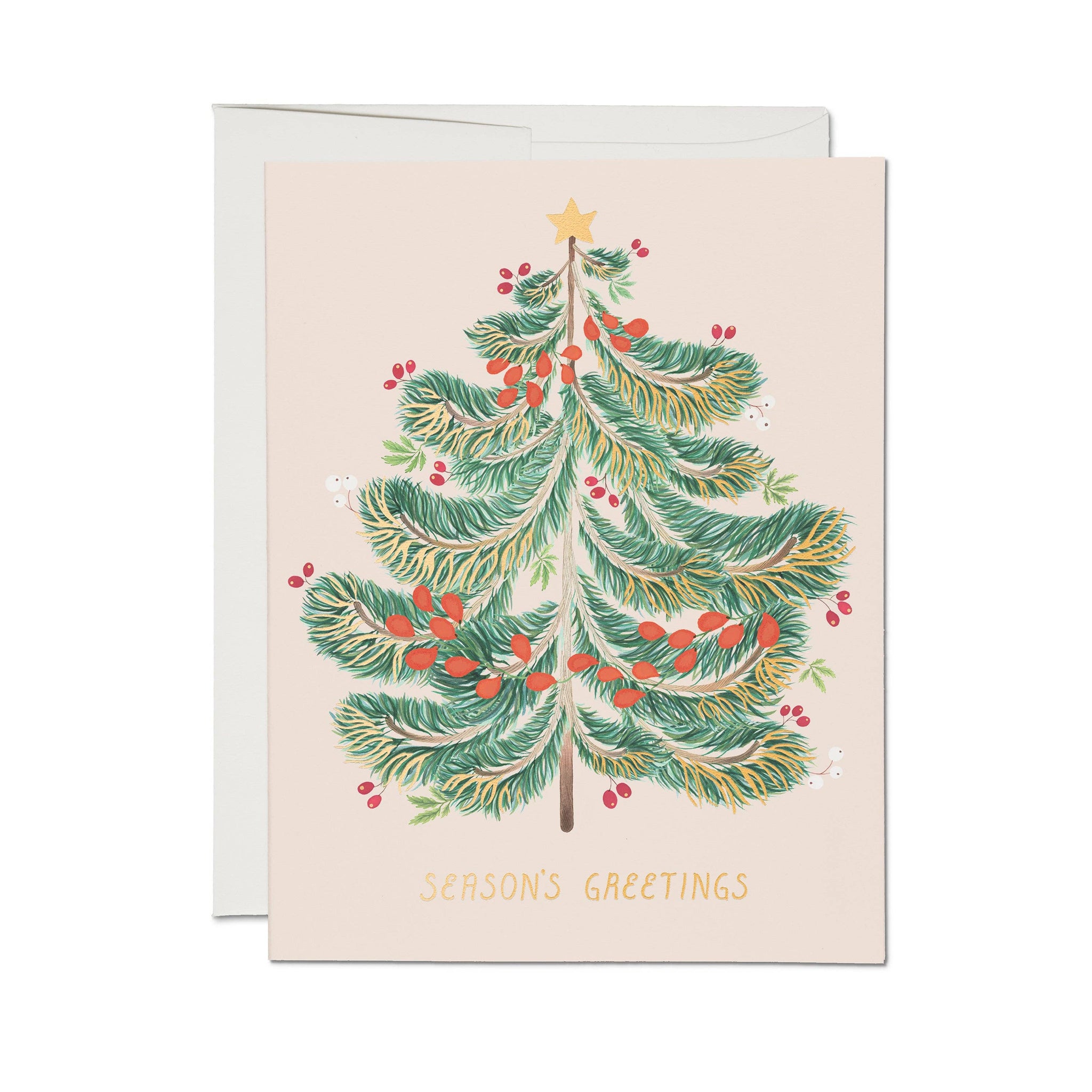 "Festive Evergreen" Holiday Greeting Card