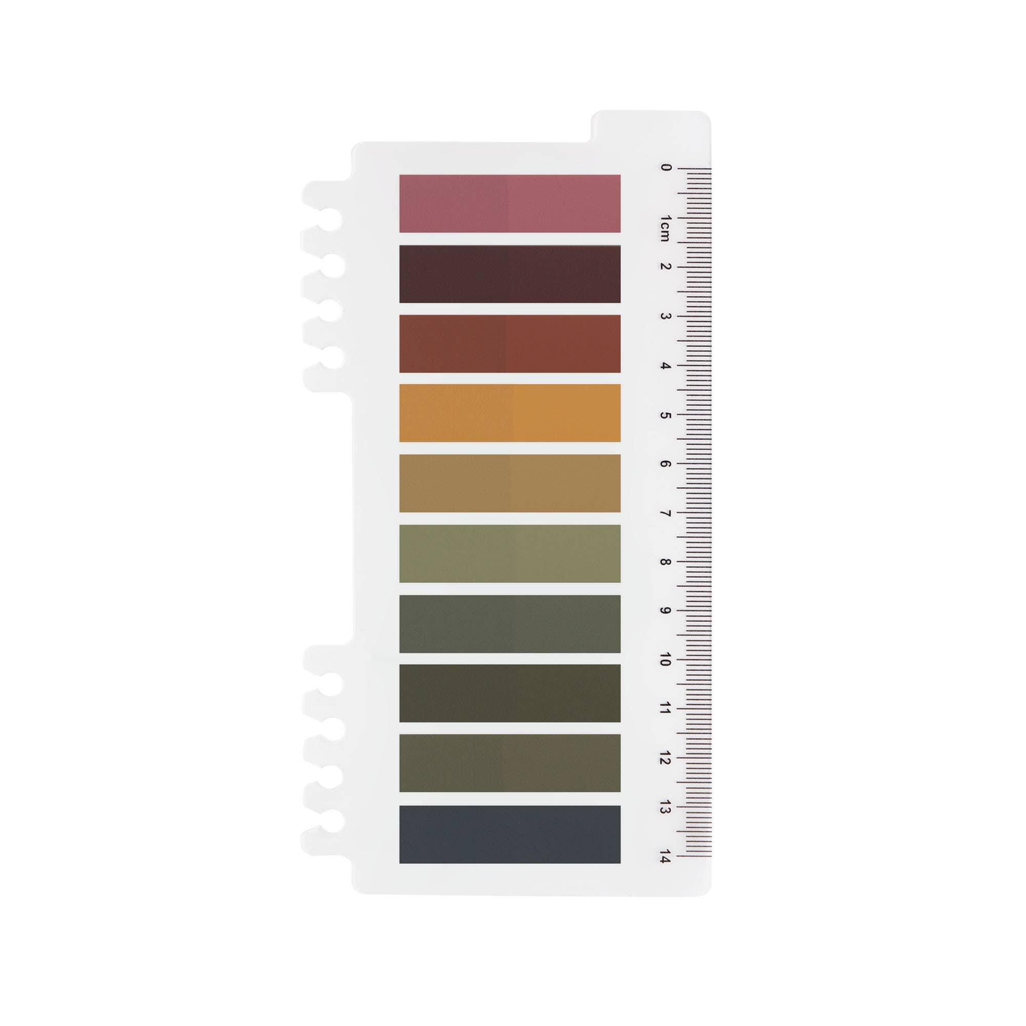 Index Sticky Tabs: Mystic Autumn