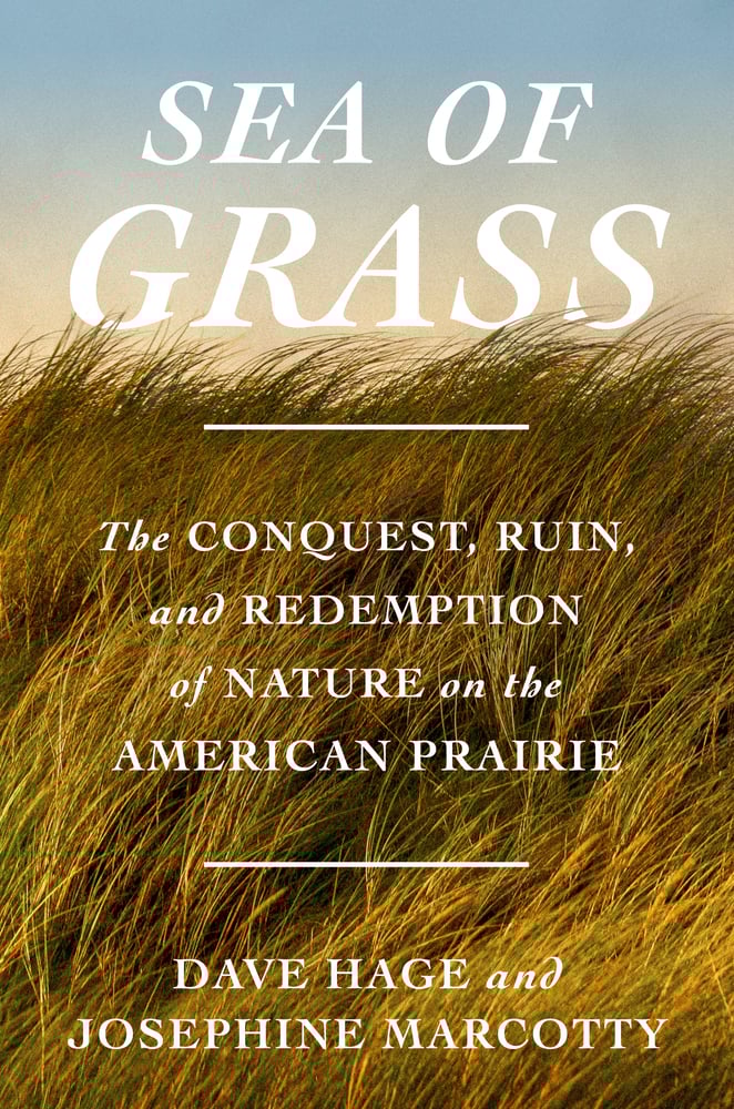 PREORDER - Sea of Grass: The Conquest, Ruin, and Redemption of Nature on the American Prairie by Dave Hage & Josephine Marcotty (5/27/25)