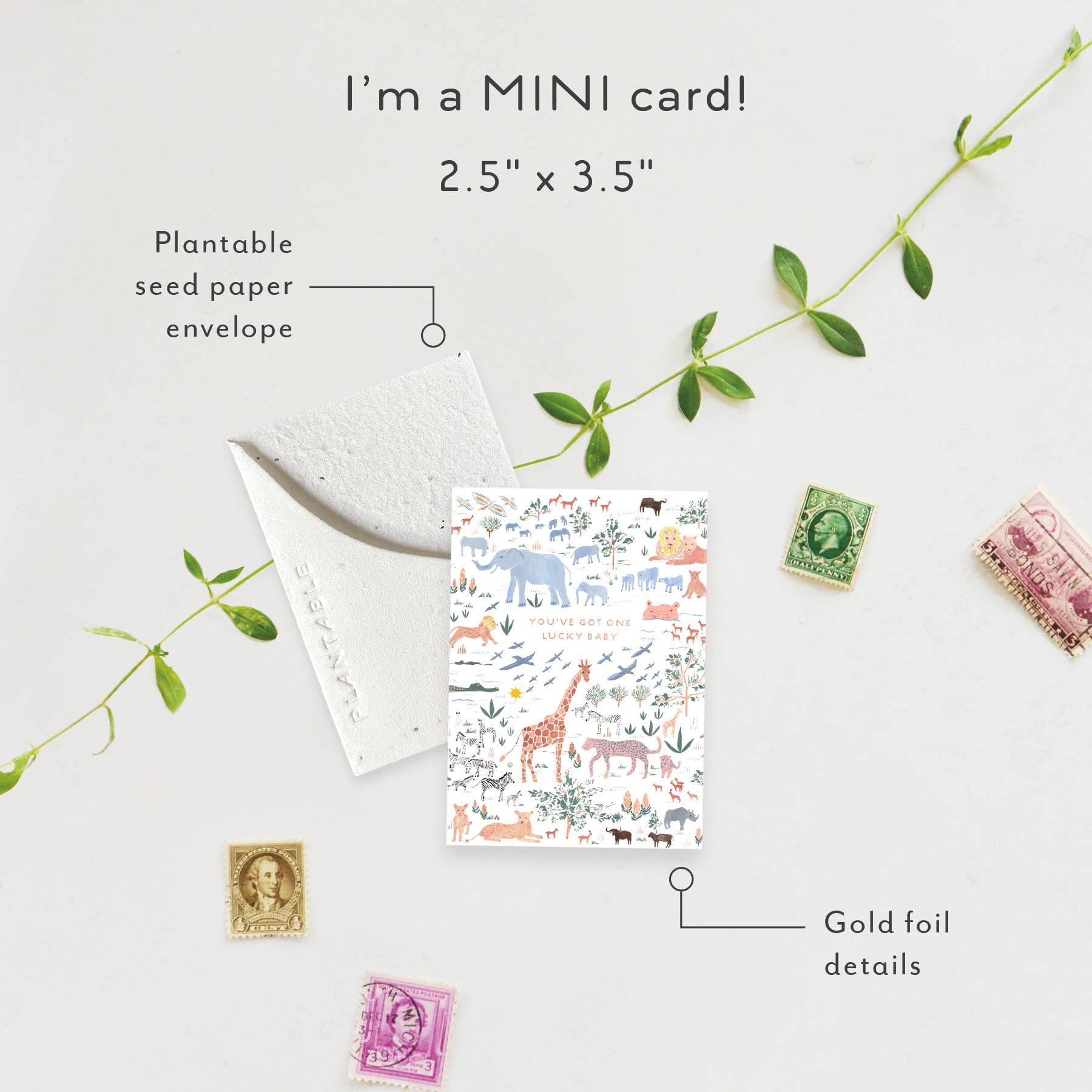 "Lucky Baby" Mini Greeting Card