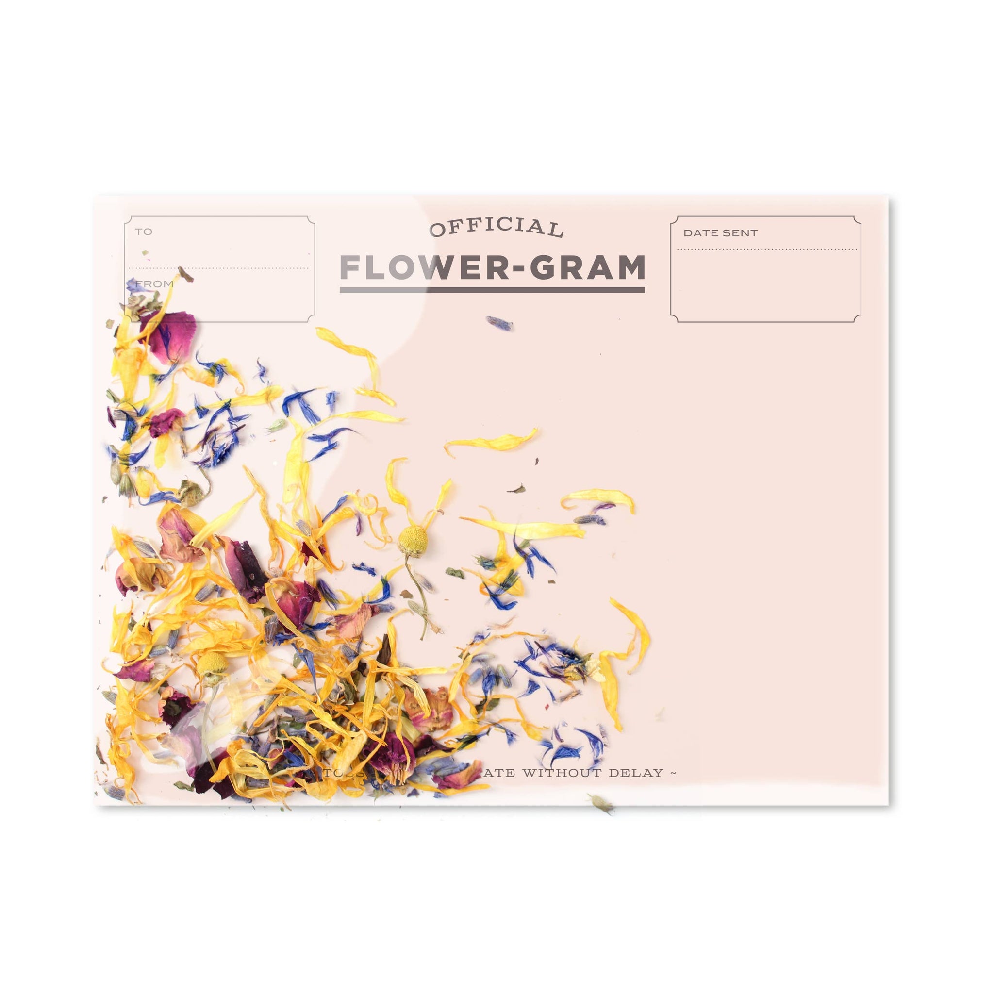 "Flowergram - Wildflowers + Mint" Card