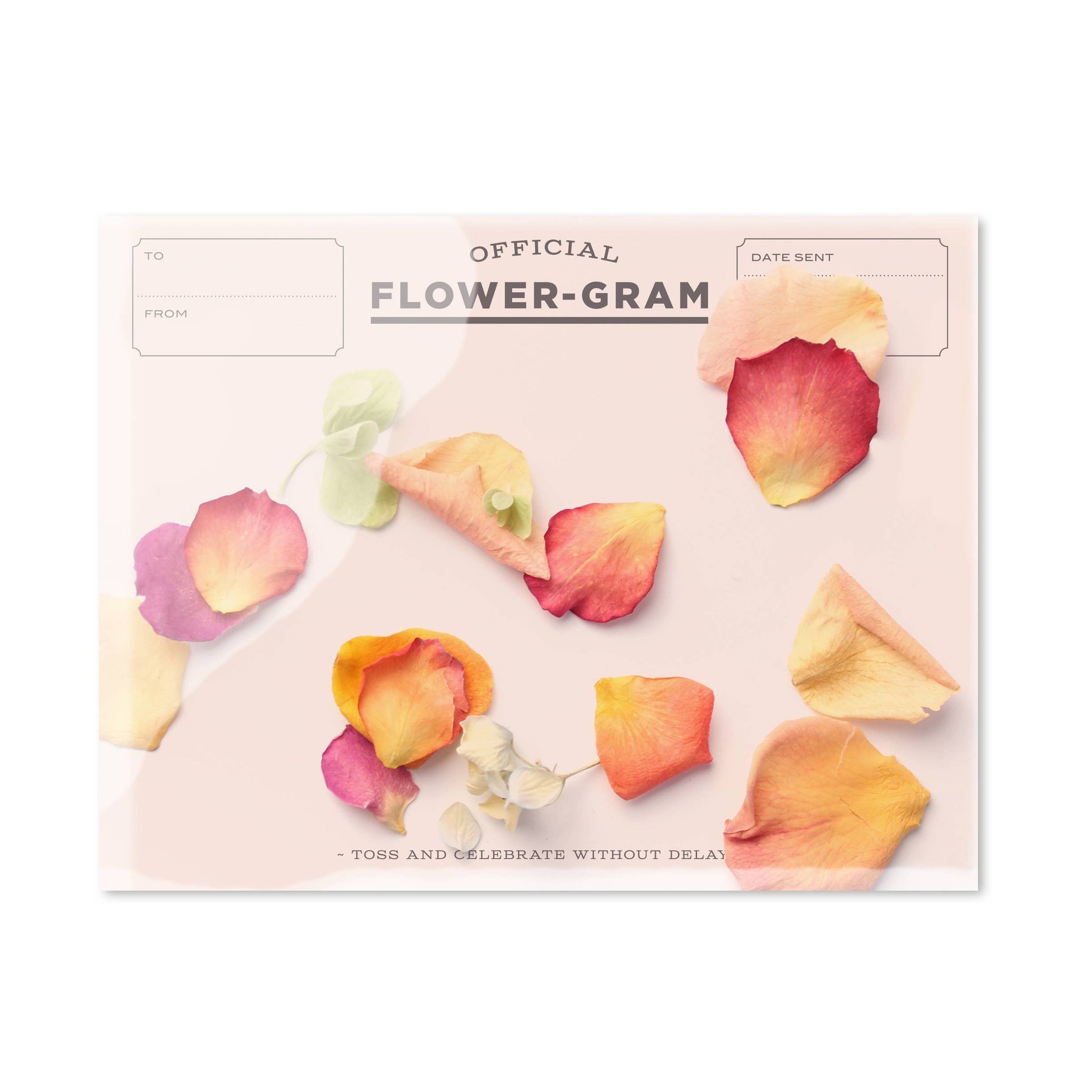"Flowergram - Peony, Rose + Hydrangea" Card