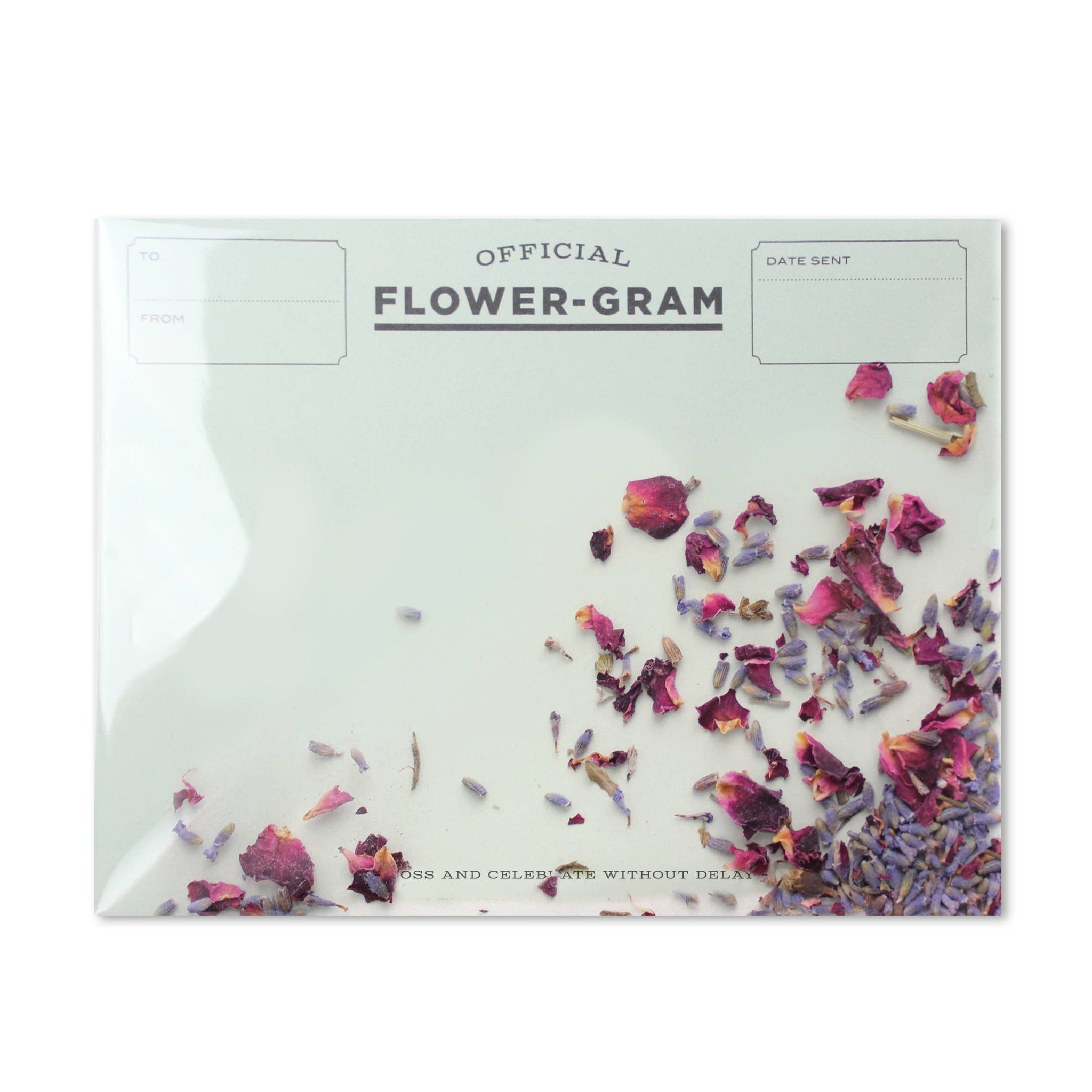 "Flowergram - Lavender + Rose" Card