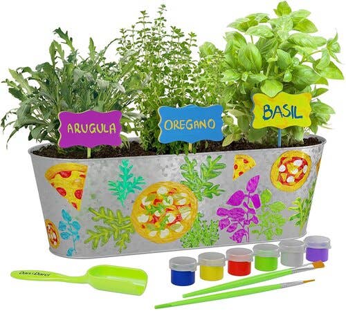 Paint & Plant Pizza Herb Growing Kit